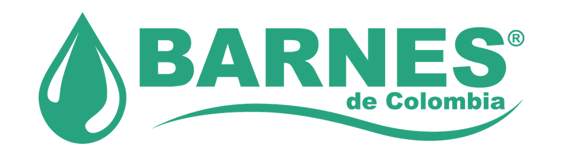 Logo de BARNES